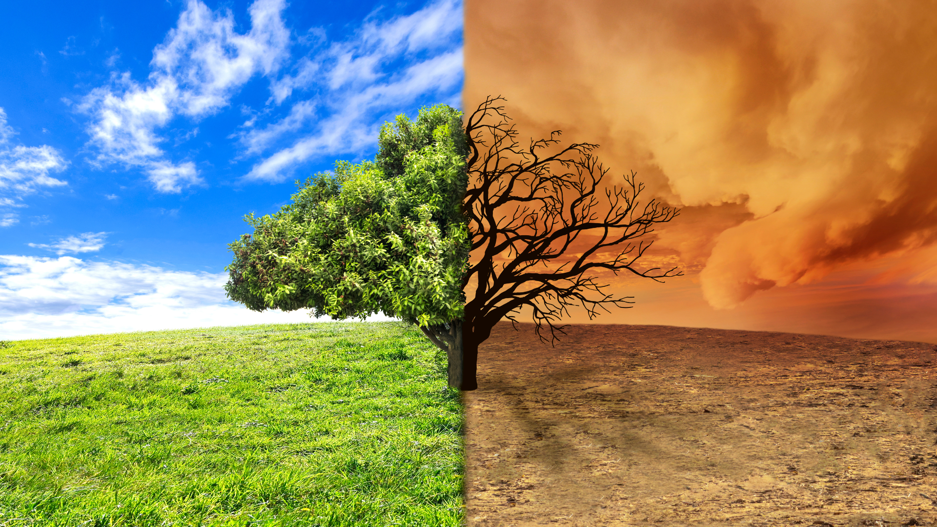 climate-change-image